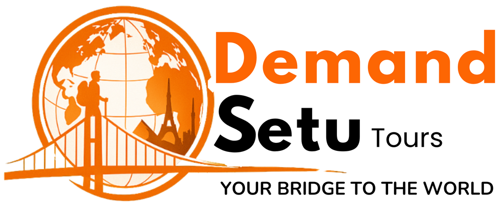 Demand setu Logo